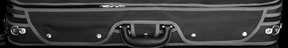 satori cases
